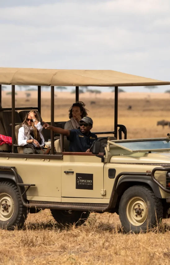 Safari vehicle with guests on game drive in savanna, Tarangire National Park, Tanzania