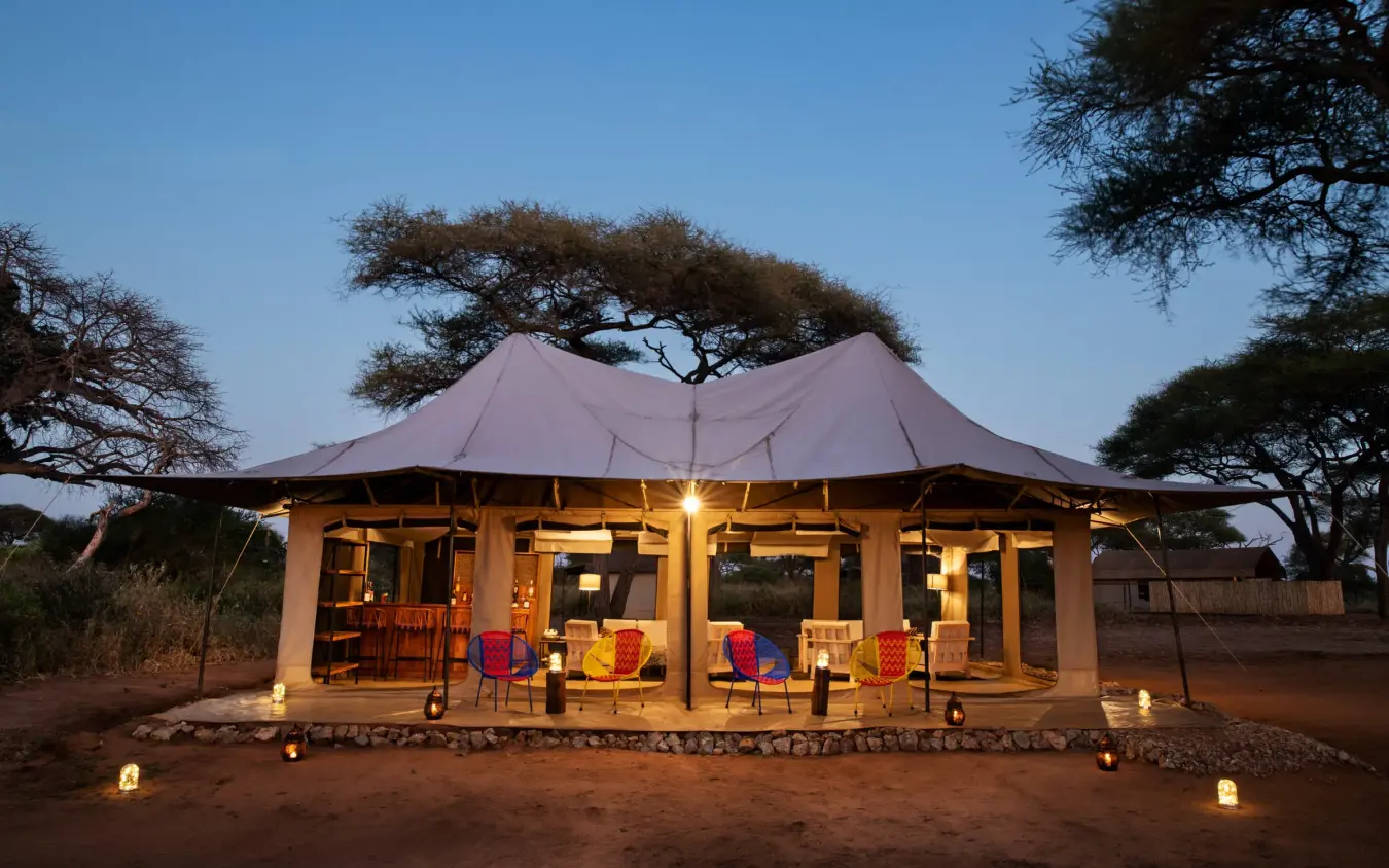 Illuminated safari lodge tent at dusk with acacia trees, Lolkisale Camp, Tarangire National Park, Tanzania