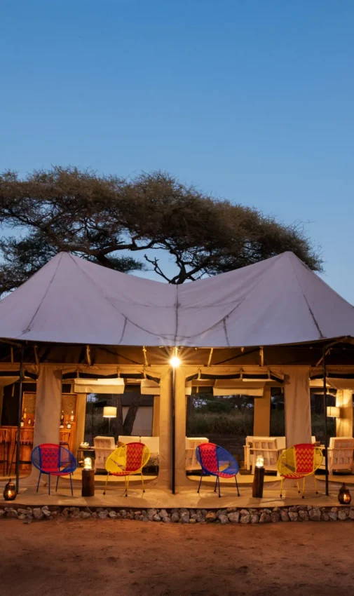 Illuminated safari lodge tent at dusk with acacia trees, Lolkisale Camp, Tarangire National Park, Tanzania