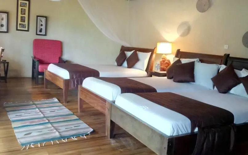 Twin beds with dark wood frames and white linens, Mahogany Springs, Bwindi Impenetrable Forest, Uganda