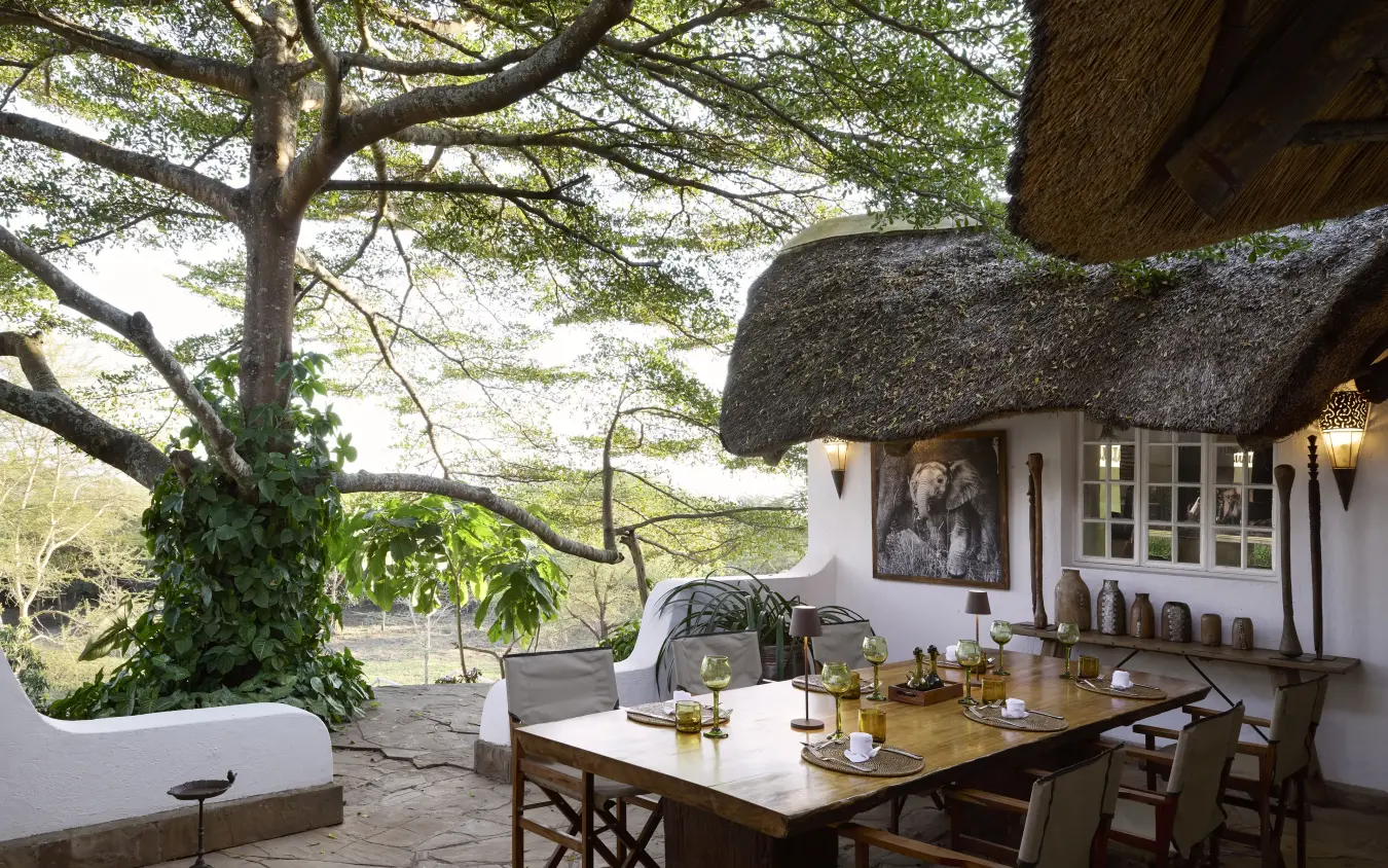 Thatched-roof cottage with outdoor dining table beneath ancient tree, Mama Simba, Arusha, Tanzania
