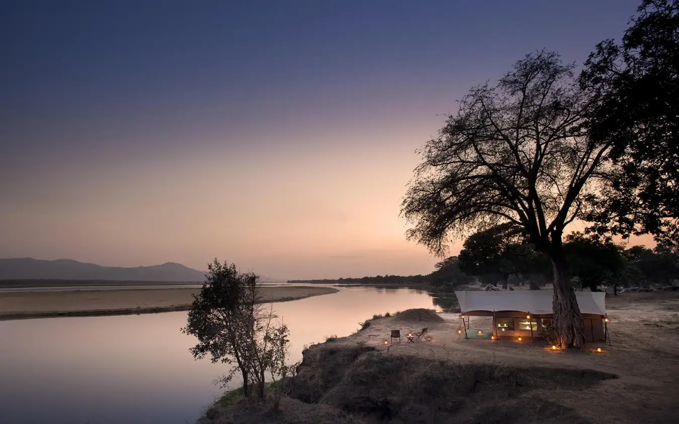 Riverside camp at dusk with illuminated tent and large tree, Zambezi Expeditions, Mana Pools, Zimbabwe