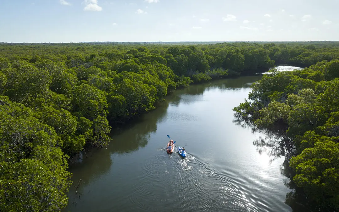 Aerial view of waterway with boats and dense forest, Manda Bay, Lamu Archipelago, Kenya
