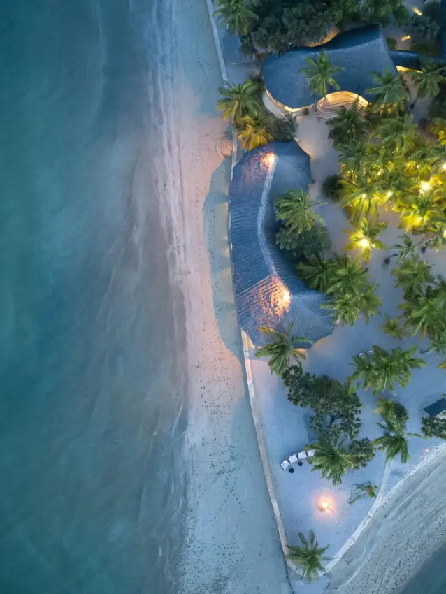 Beachfront resort with palm trees and moored boats at dusk, Manda Bay, Lamu Archipelago, Kenya