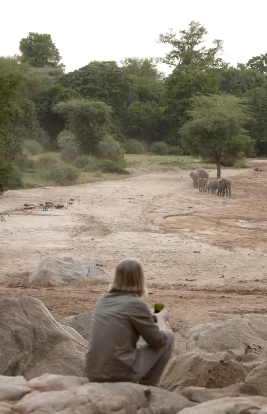 Guests observing elephants from rocky vantage point, Manyara Green Camp, Lake Manyara, Tanzania