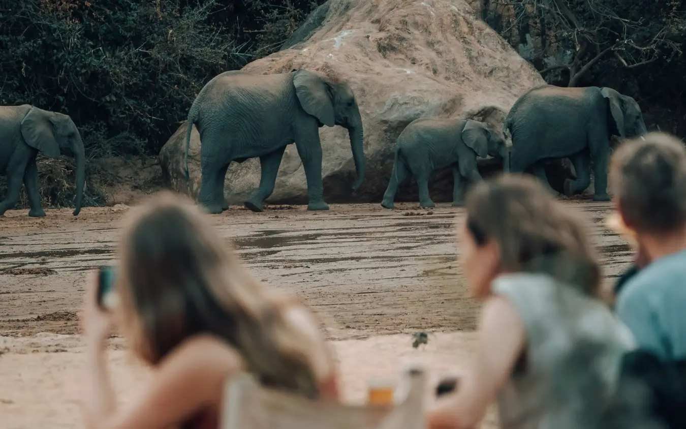 Guests viewing elephants from vehicle at waterhole, Manyara Green Camp, Lake Manyara, Tanzania