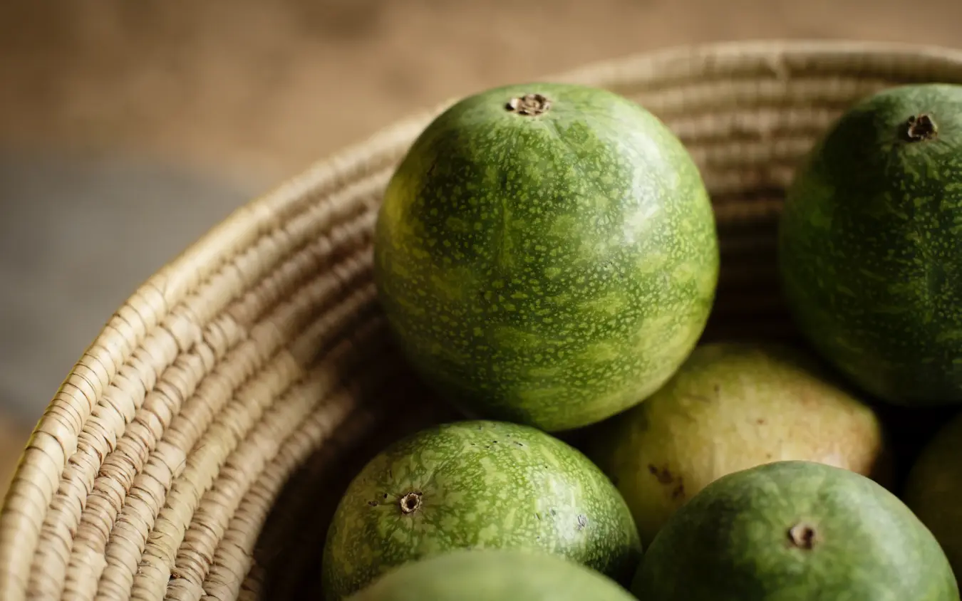 Green avocados in woven basket close-up, Manyara Green Camp, Lake Manyara, Tanzania