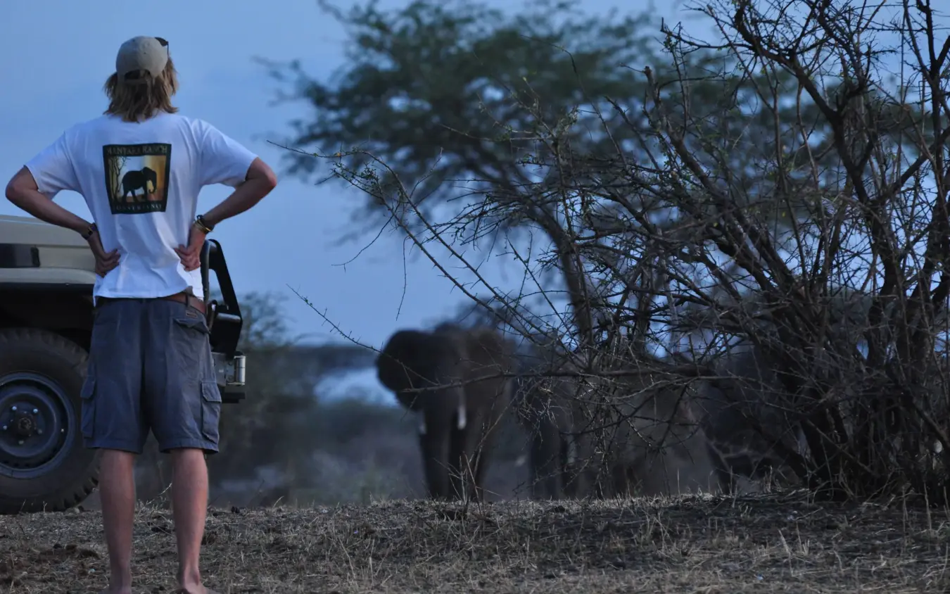 Tourist viewing wildlife from safari vehicle at dusk, Manyara Ranch, Lake Manyara, Tanzania