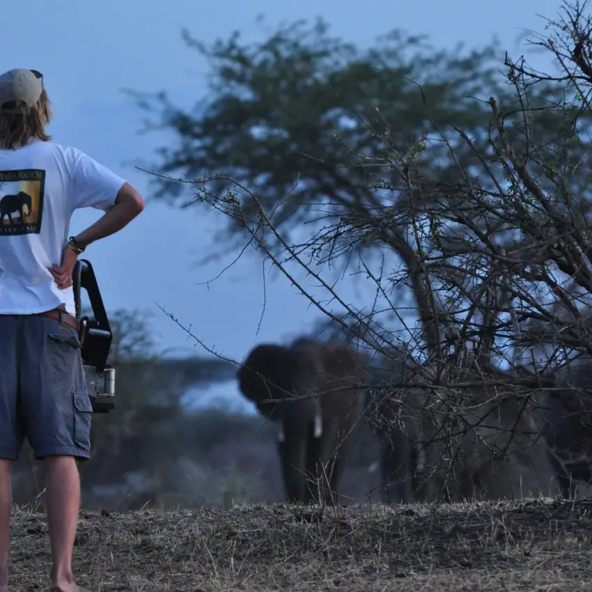 Tourist viewing wildlife from safari vehicle at dusk, Manyara Ranch, Lake Manyara, Tanzania