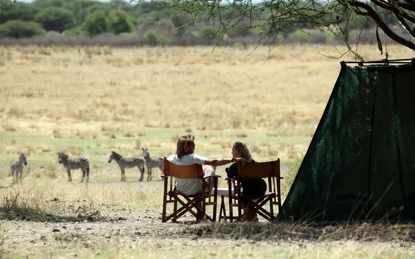Guests in camp chairs viewing zebras grazing on savanna plains, Manyara Ranch, Lake Manyara, Tanzania
