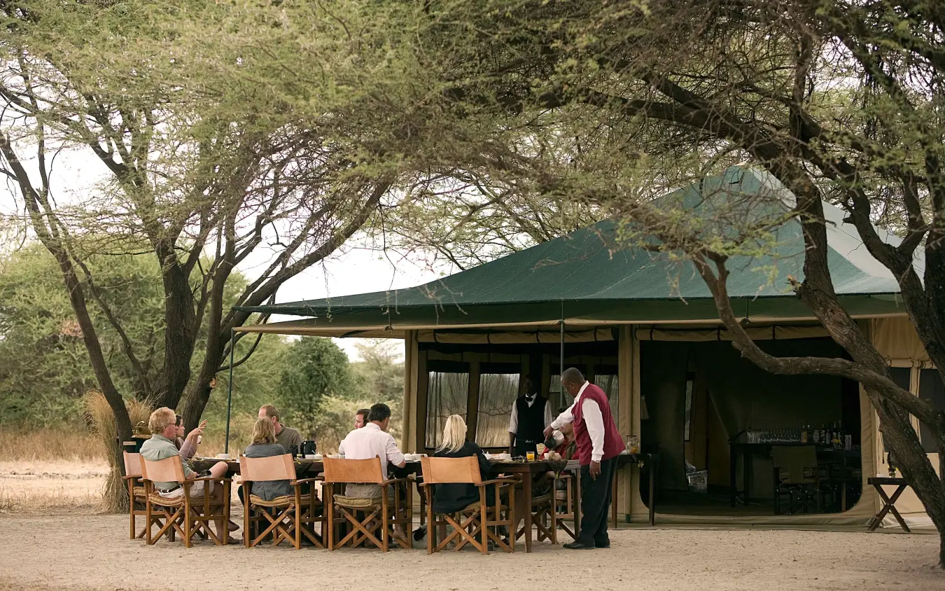 Guests dining outdoors under acacia trees at safari camp, Manyara Ranch, Lake Manyara, Tanzania