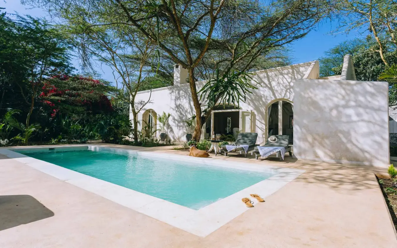 Swimming pool with white building and shade trees, Manzili House, Nairobi, Kenya