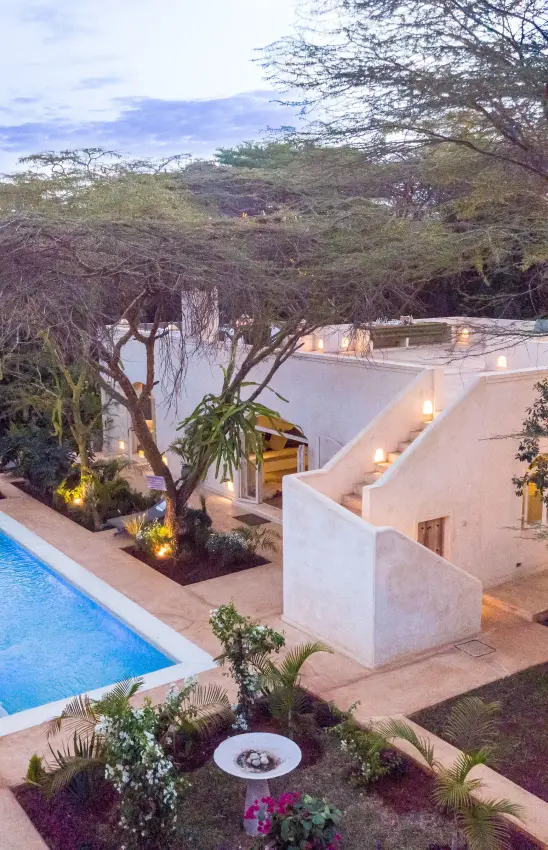 Swimming pool nestled among acacia trees at dusk, Manzili House, Nairobi, Kenya
