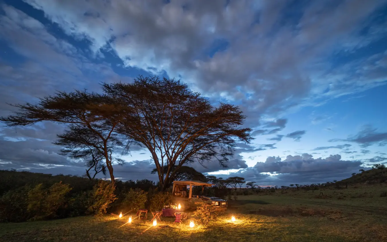 Evening campfire setup under acacia tree at dusk, Mara Nyika Camp, Maasai Mara, Kenya