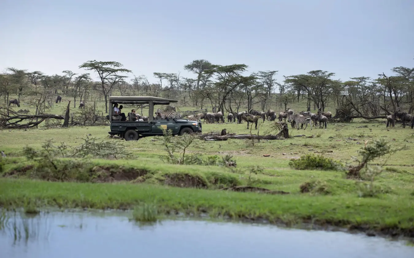 Safari vehicle with guests observing elephants in savanna landscape, Mara Nyika Camp, Maasai Mara, Kenya