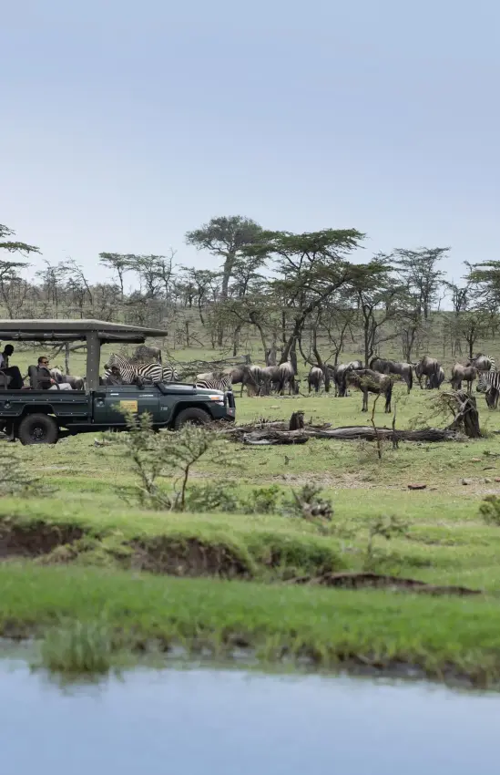 Safari vehicle with guests observing elephants in savanna landscape, Mara Nyika Camp, Maasai Mara, Kenya