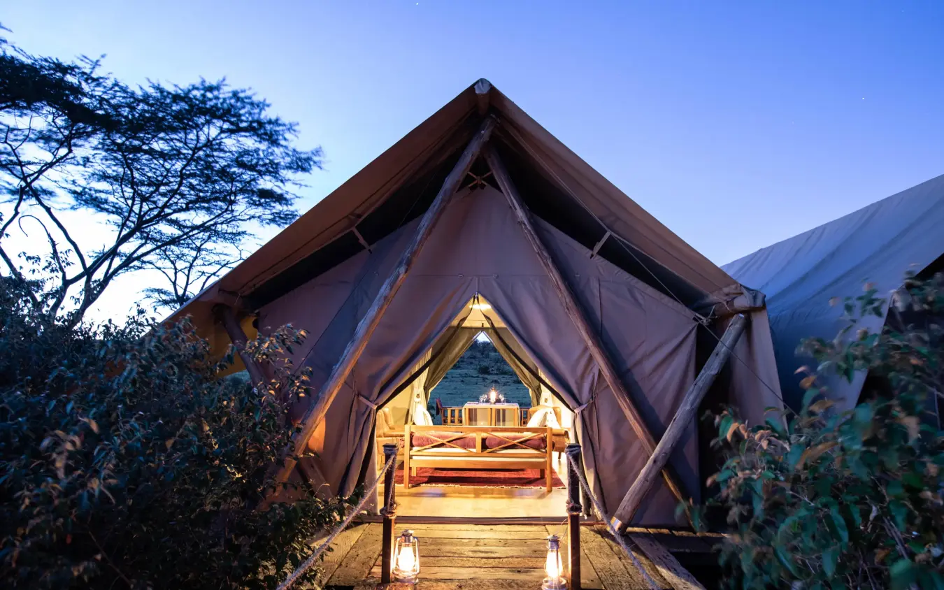 Illuminated canvas tent at dusk with wooden boardwalk entrance, Mara Nyika Camp, Maasai Mara, Kenya