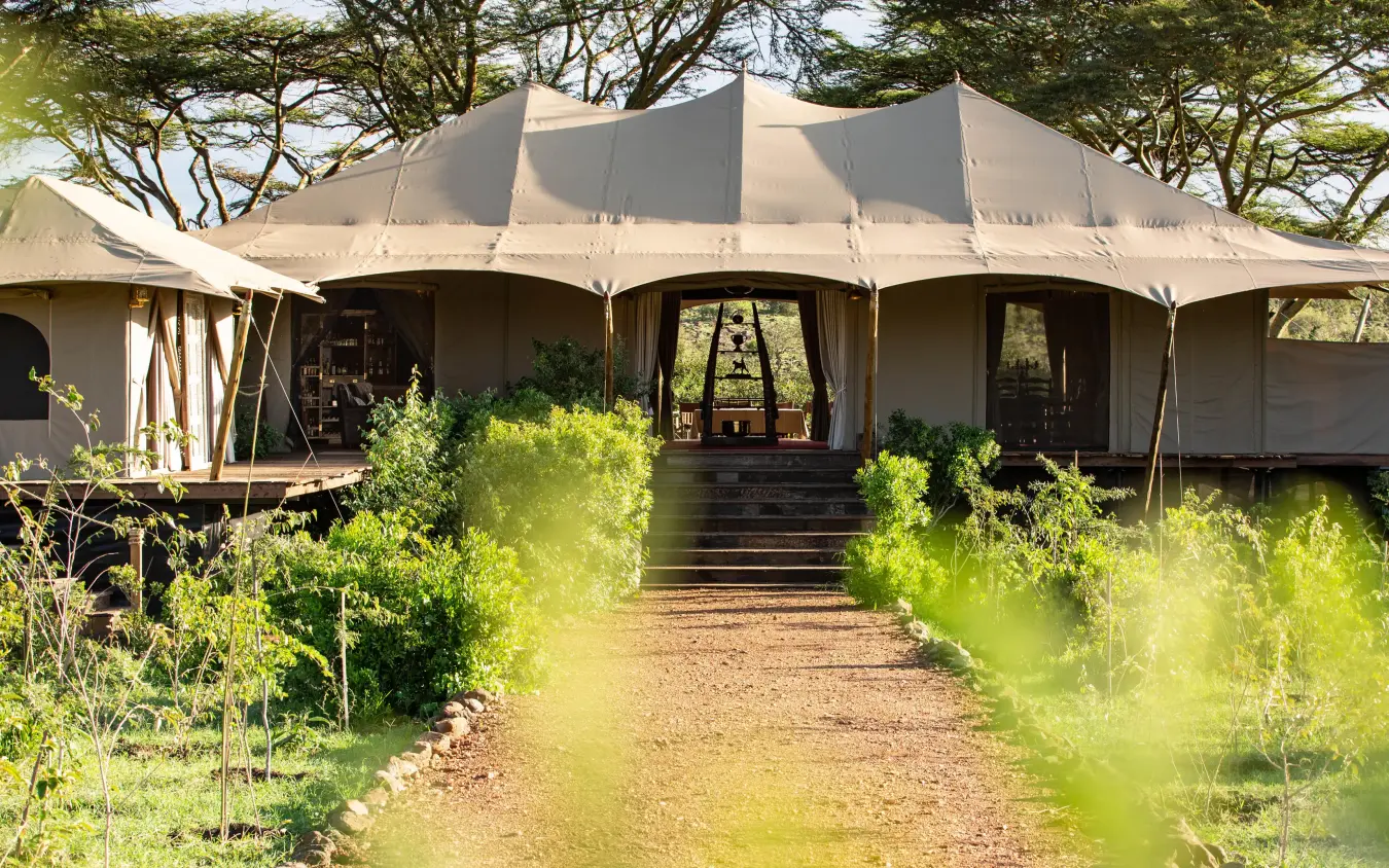 Canvas tent lodge with wooden deck and manicured gardens, Mara Nyika Camp, Maasai Mara, Kenya