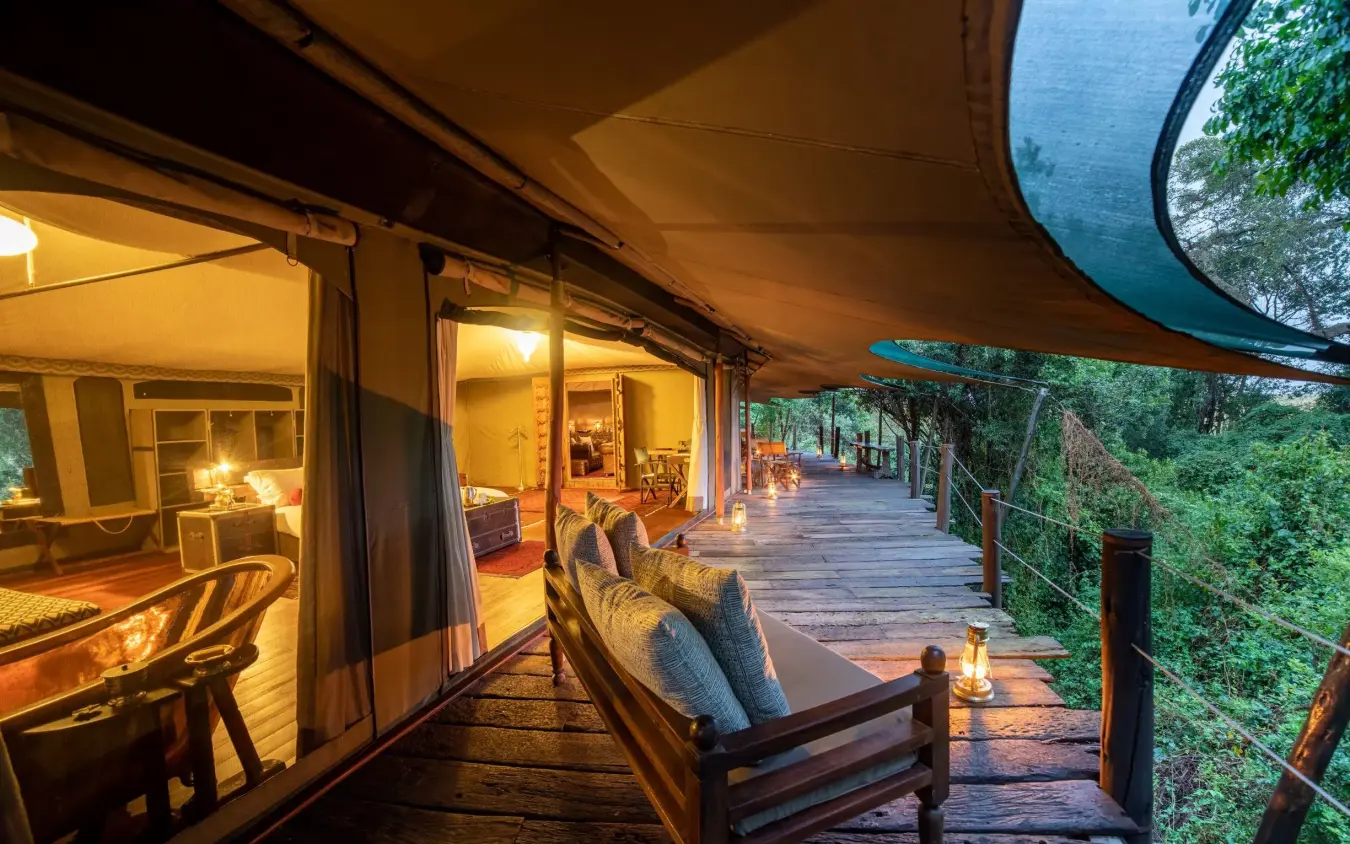 Wooden deck with seated guest overlooking forest at dusk, Mara Plains Camp, Maasai Mara, Kenya