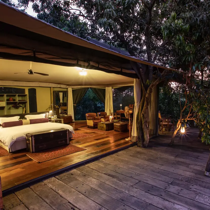 Bedroom pavilion with wooden deck overlooking savanna at dusk, Mara Plains Camp, Maasai Mara, Kenya