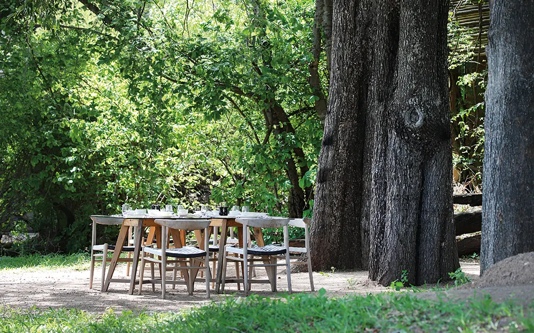 Outdoor dining table beneath tall trees in forest setting, Matetsi River Lodge, Victoria Falls, Zimbabwe