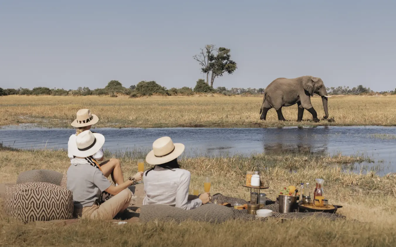 Guests on picnic beside waterhole watching elephant approach, Mombo Camp, The Okavango Delta, Botswana