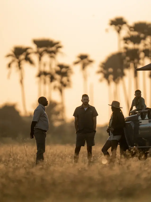 Safari vehicle with guests at sunset in palm-tree grassland, Mombo Camp, The Okavango Delta, Botswana