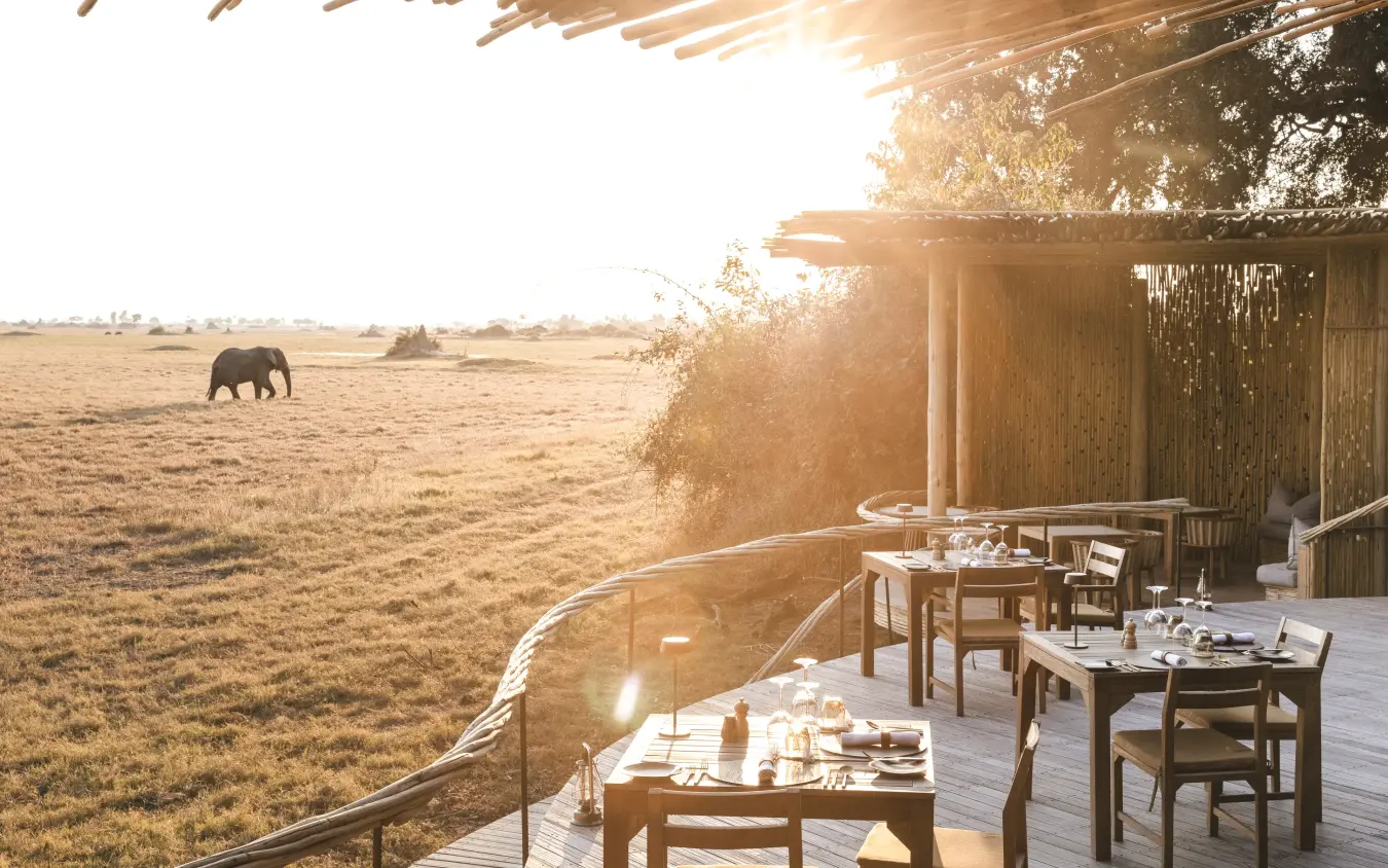 Dining deck overlooking savanna with elephant grazing at sunset, Mombo Camp, The Okavango Delta, Botswana