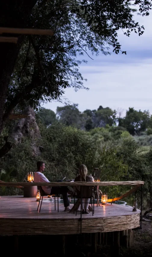 Wooden deck dining area beneath ancient tree overlooking savanna landscape at dusk, Mombo Camp, The Okavango Delta, Botswana