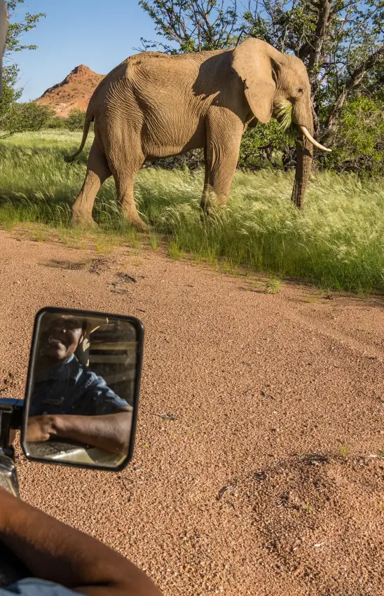 Elephant crossing dirt road viewed from safari vehicle mirror, Mowani Mountain Camp, Damaraland, Namibia