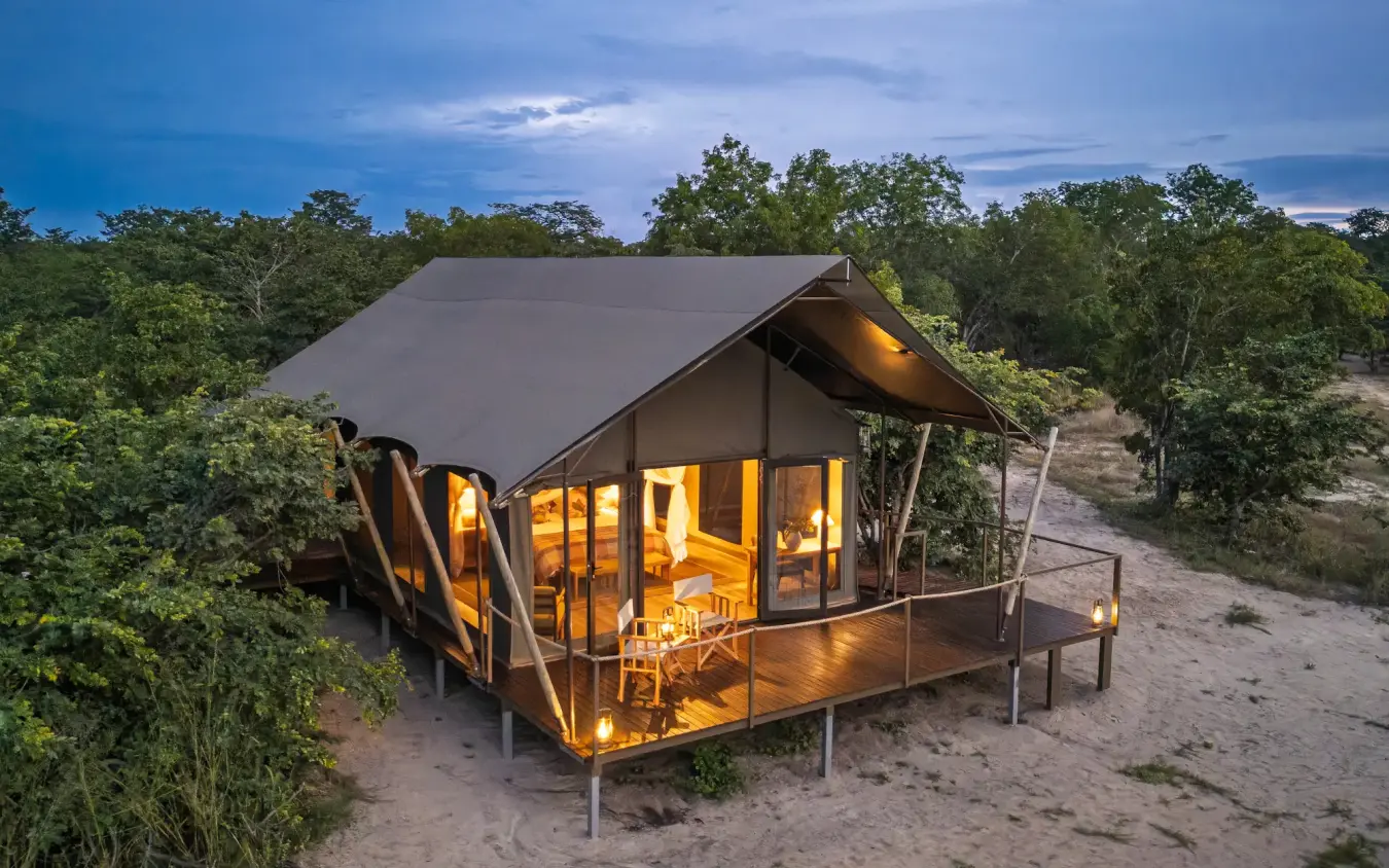 Illuminated safari tent with wooden deck in bushland at dusk, Muddy Teak, Hwange National Park, Zimbabwe