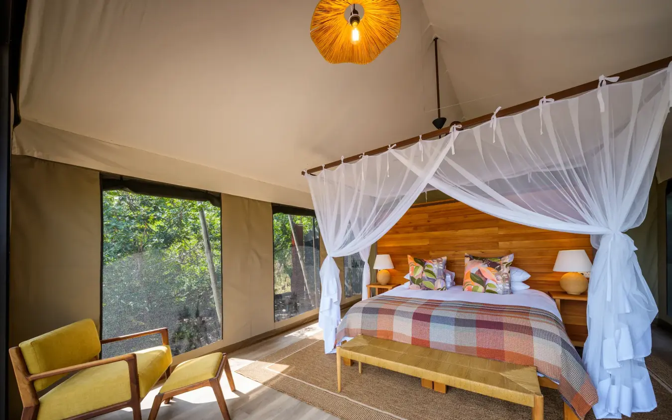 Luxury bedroom with canopy bed and forest views through large windows, Muddy Teak, Hwange National Park, Zimbabwe