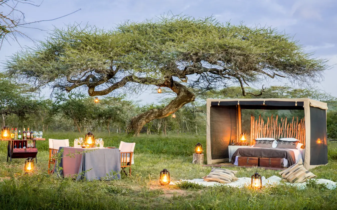 Outdoor bedroom setup under acacia tree at dusk, Mwiba Lodge, Serengeti National Park, Tanzania