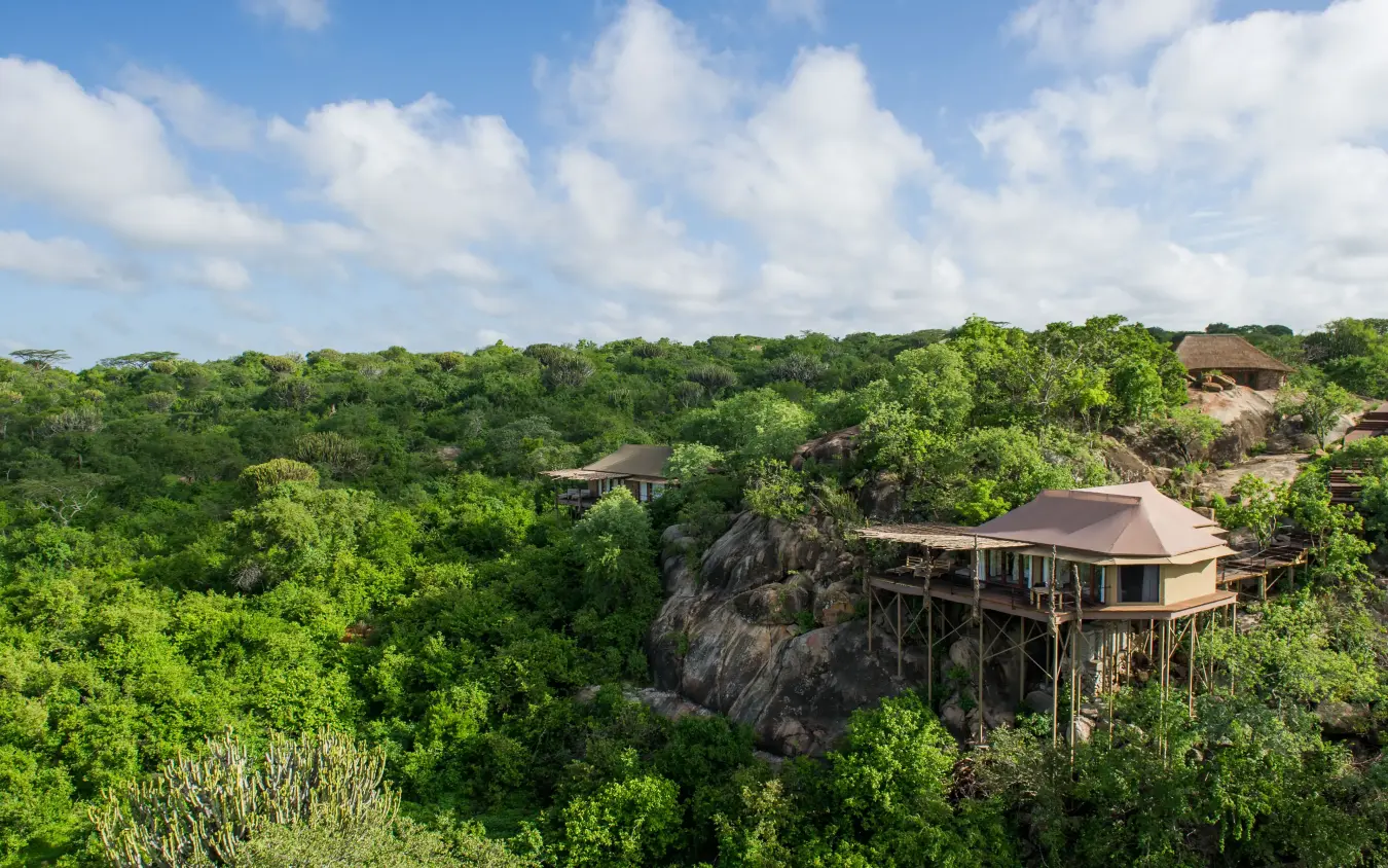 Elevated lodge structures nestled within dense green woodland, Mwiba Lodge, Serengeti National Park, Tanzania
