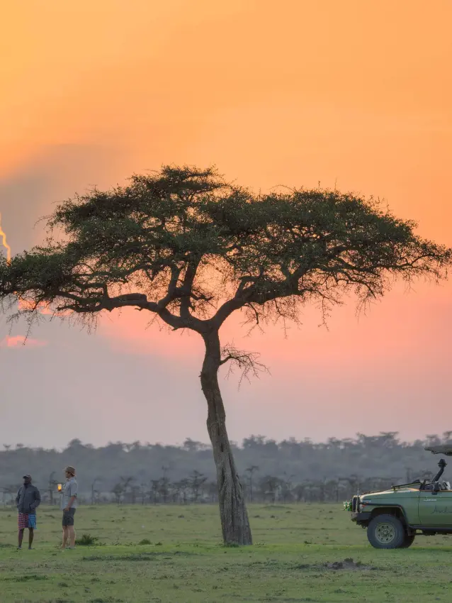 Safari vehicle with guests watching acacia tree at sunset, Naboisho Camp, Maasai Mara, Kenya