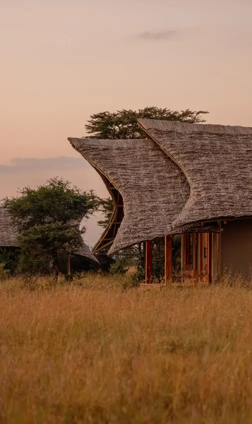 Curved thatch-roof lodge building at sunset in savanna, Naboisho Camp, Maasai Mara, Kenya
