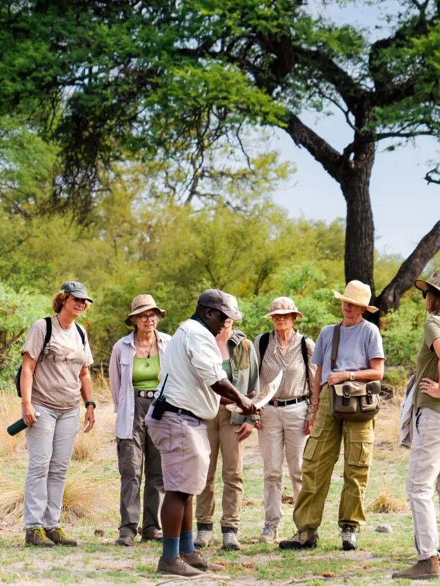 Guide leading walking safari group under acacia trees in dry season woodland, Nambwa Tented Lodge, Zambezi Region, Namibia