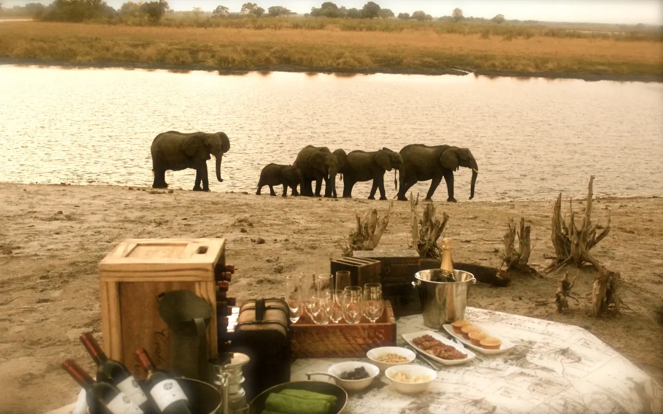 Elephant herd at riverside with al fresco dinner setup in foreground, Nambwa Tented Lodge, Zambezi Region, Namibia