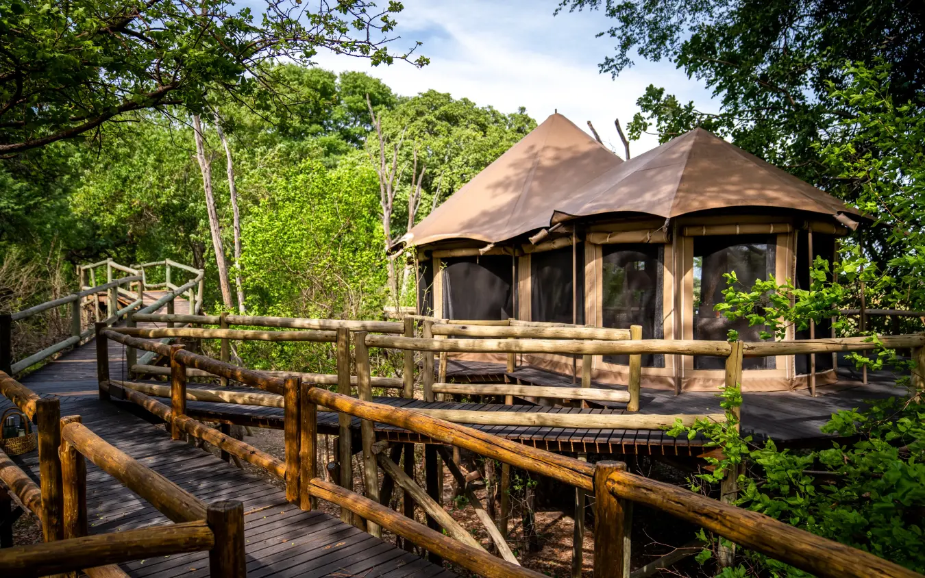 Elevated wooden deck with canvas-roofed safari lodge surrounded by dense forest, Nambwa Tented Lodge, Zambezi Region, Namibia