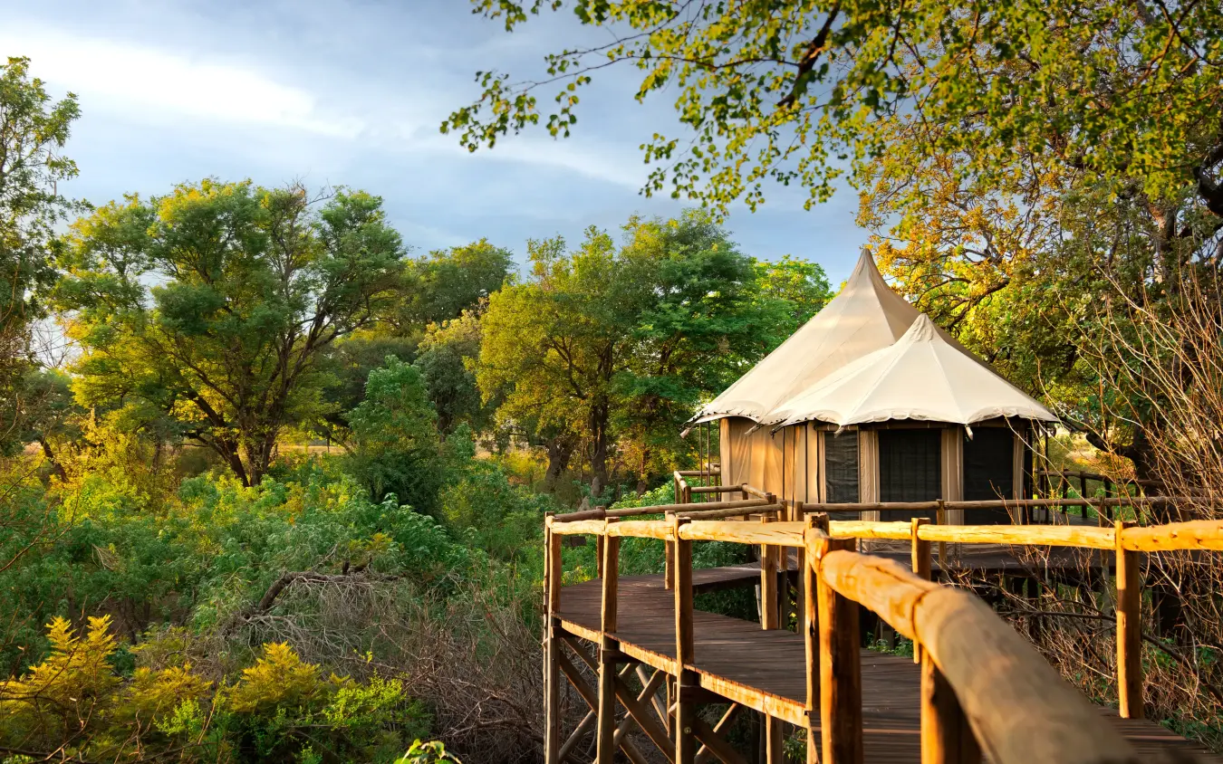 Luxury safari tent with wooden deck overlooking woodland landscape, Nambwa Tented Lodge, Zambezi Region, Namibia