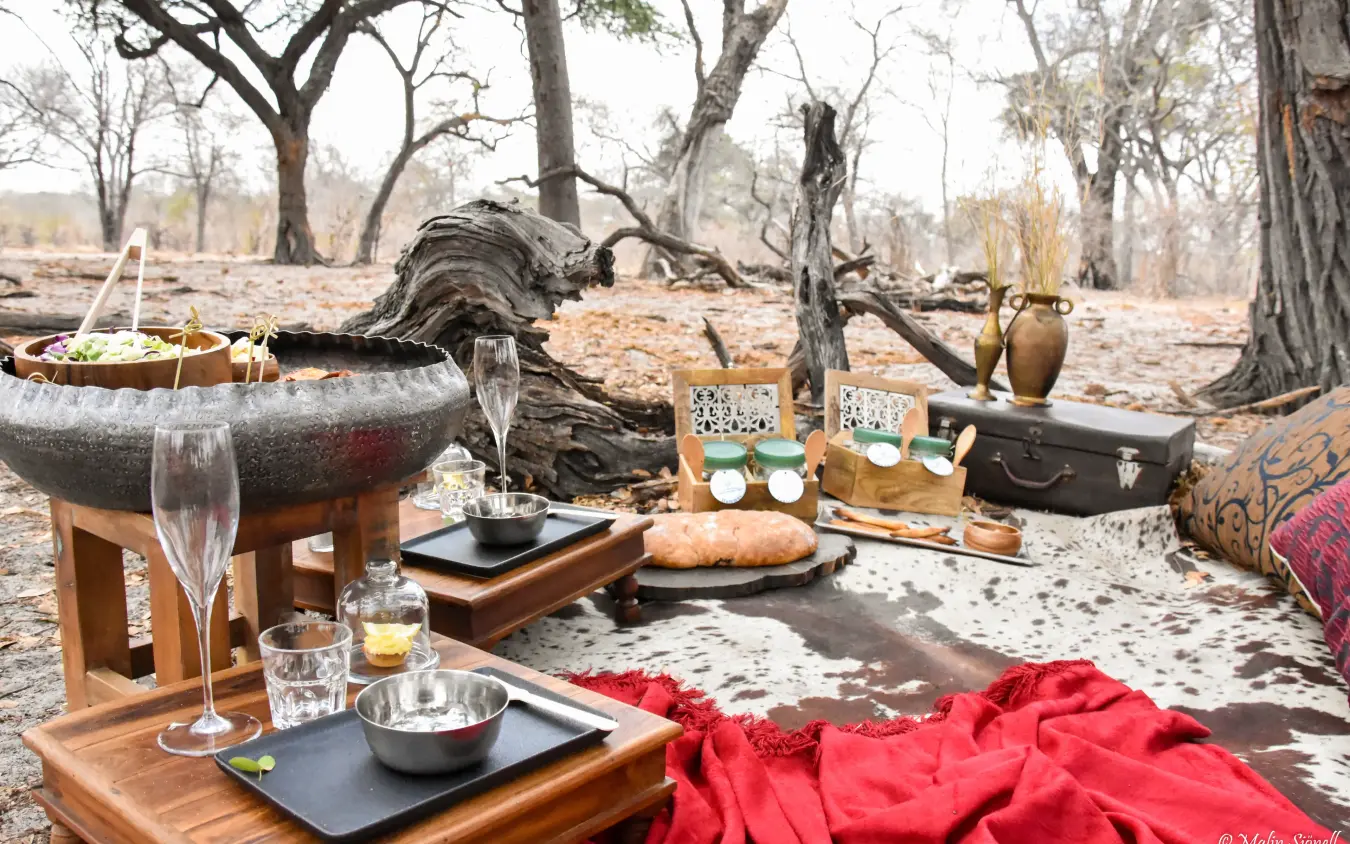 Outdoor dining setup with champagne and food in woodland setting, Nambwa Tented Lodge, Zambezi Region, Namibia