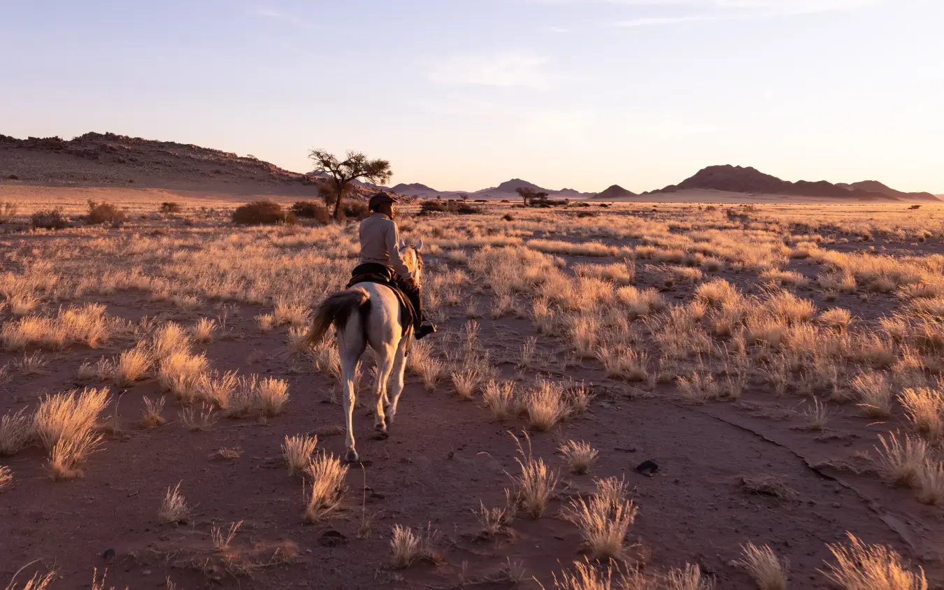 Lone rider on horseback traversing arid savanna at golden hour, Namib Outpost, Sossusvlei, Namibia