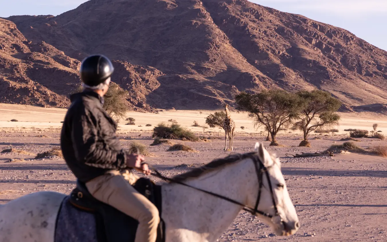 Horseback rider observing giraffe in arid desert landscape with mountain, Namib Outpost, Sossusvlei, Namibia