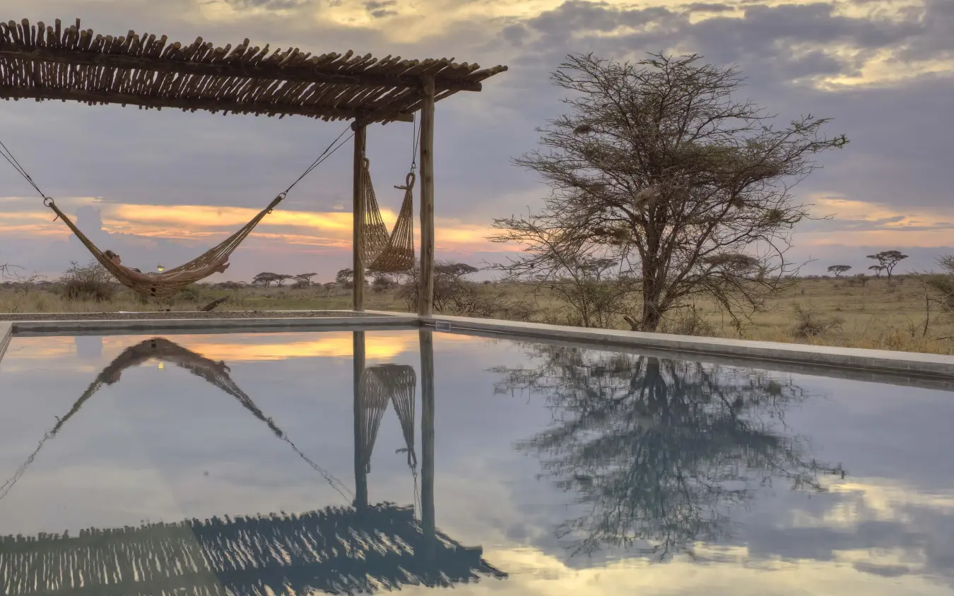 Infinity pool reflecting sunset sky and acacia tree, Namiri Plains, Serengeti National Park, Tanzania