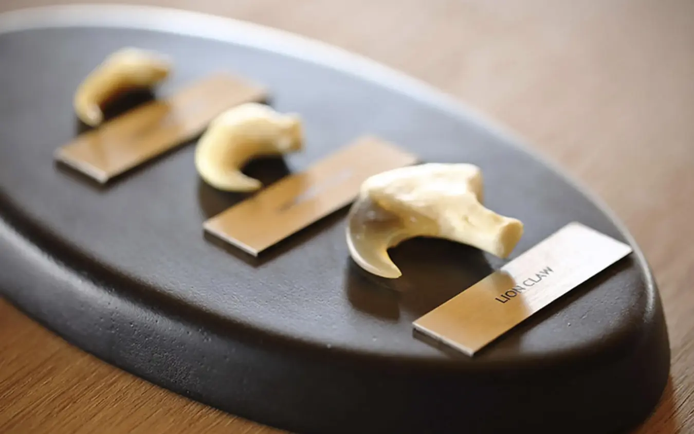 Three carved wooden animal figurines on display stand, Namiri Plains, Serengeti National Park, Tanzania