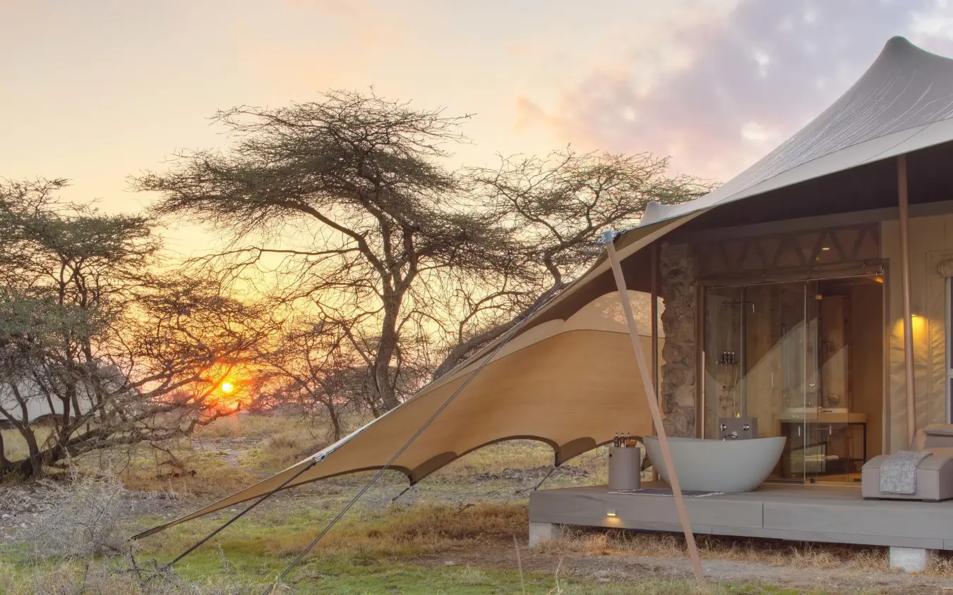 Safari tent at sunset with acacia trees and savanna, Namiri Plains, Serengeti National Park, Tanzania