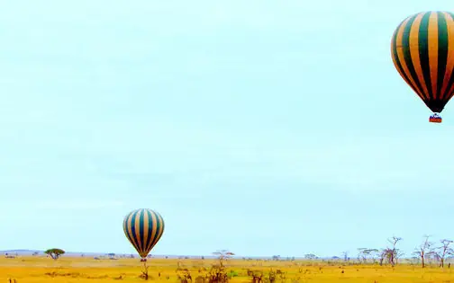 Hot air balloons floating over golden savanna landscape, Namiri Plains, Serengeti National Park, Tanzania