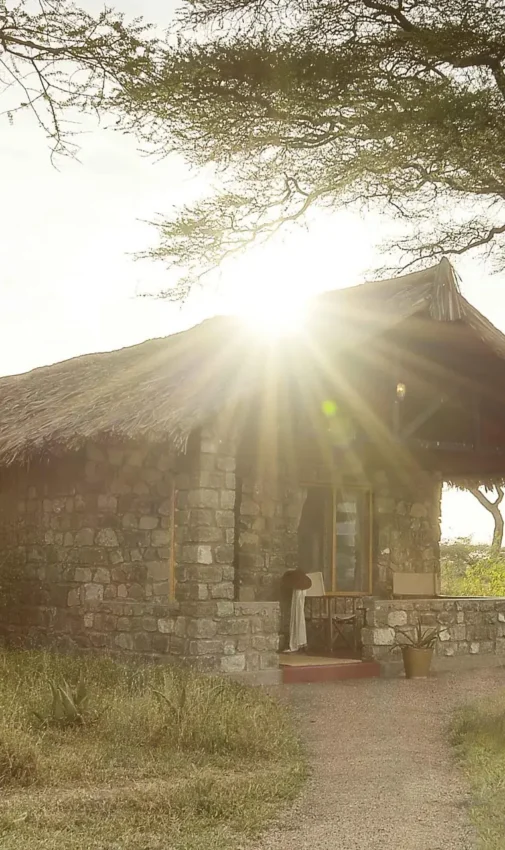 Stone bungalow with thatched roof at sunrise, Ndutu Safari Lodge, Serengeti National Park, Tanzania