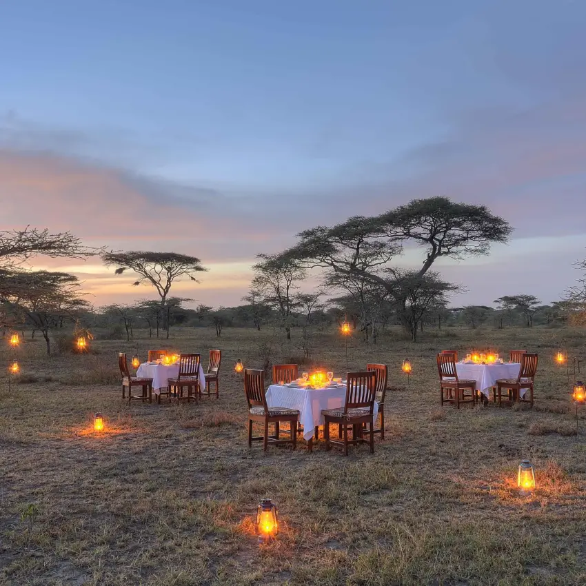 Outdoor dining tables set up at dusk under acacia trees, Ndutu Safari Lodge, Serengeti National Park, Tanzania
