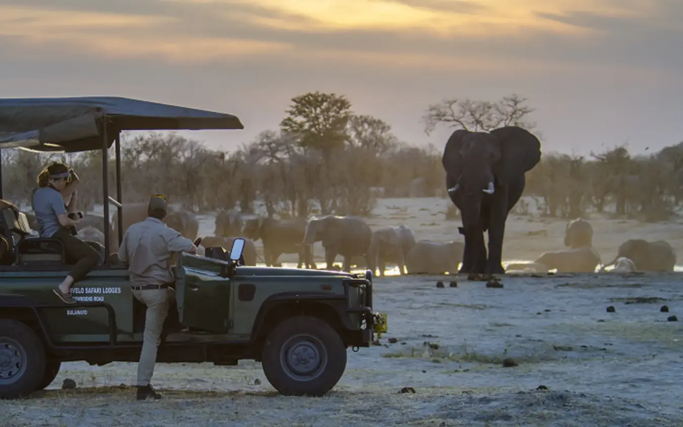 Safari vehicle with guests observing elephants at waterhole at dusk, Nehimba Lodge, Hwange National Park, Zimbabwe